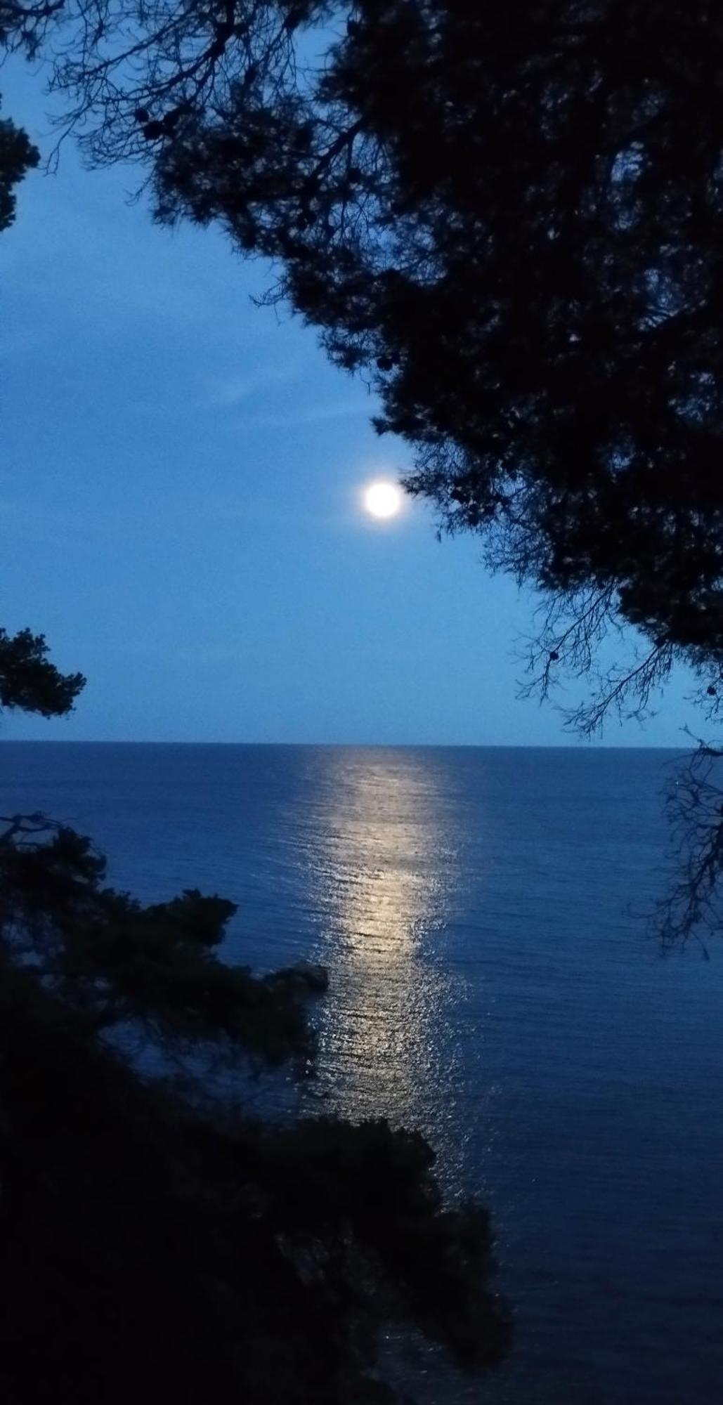 Apartamento Recien Reformado A 300 Metros Del Mar Calella De Palafrugell Zewnętrze zdjęcie