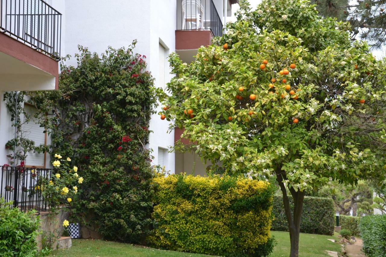 Apartamento Recien Reformado A 300 Metros Del Mar Calella De Palafrugell Zewnętrze zdjęcie