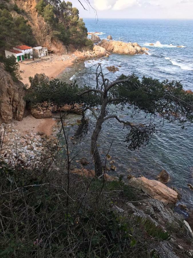 Apartamento Recien Reformado A 300 Metros Del Mar Calella De Palafrugell Zewnętrze zdjęcie